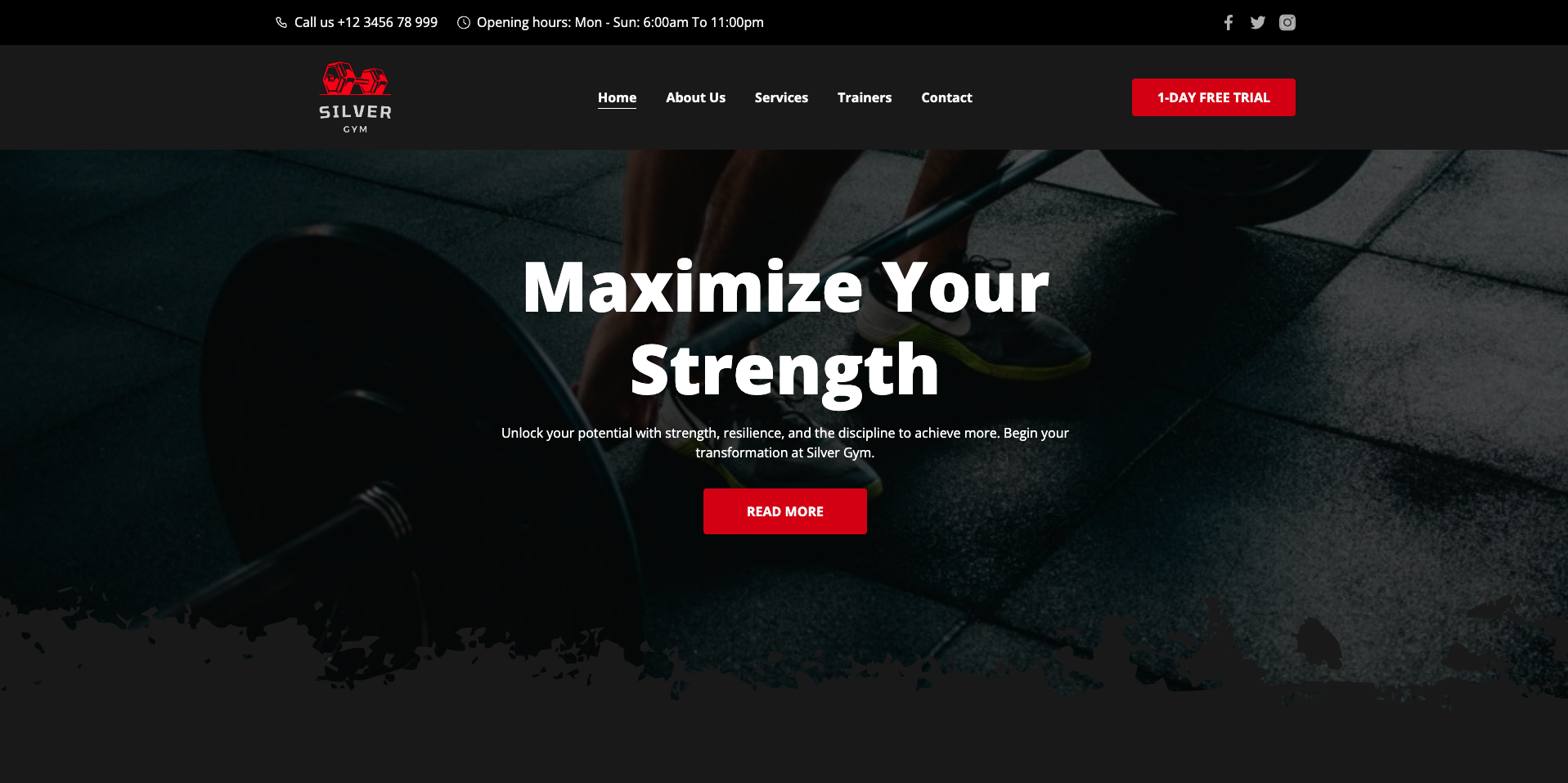Silver Gym homepage